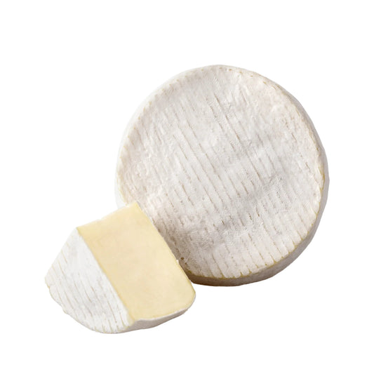 ROBIOLA OCCELLI MINI